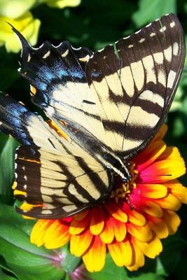 [26a05] ^R.e.a.d~ *O.n.l.i.n.e% Pretty Butterfly on a Plant, for the Love of Nature: Blank 150 Page Lined Journal for Your Thoughts, Ideas, and Inspiration -  ^e.P.u.b~