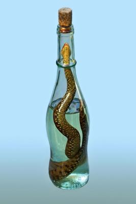 [9dc29] @Full^ @Download! Bottle of Viper Liquor Journal: 150 Page Lined Notebook/Diary -  ^P.D.F~