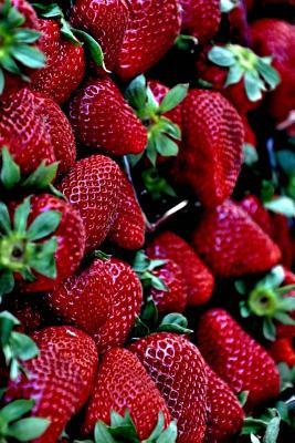 [f8064] #Read# Time for Strawberry's Journal: A Blank Lined Journal for Writing and Note Taking -  ^e.P.u.b@