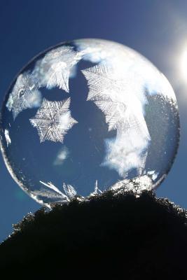 [315b4] ~R.e.a.d^ %O.n.l.i.n.e! A Cool Frozen Soap Bubble on a Sunny Winter Day Journal: 150 Page Lined Notebook/Diary -  #PDF~