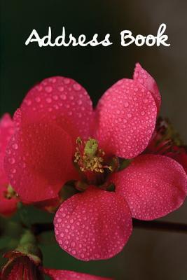 [31c58] @Read^ Address Book.: (Flower Edition Vol. C61) Glossy and Soft Cover, Large Print, Font, 6 X 9 for Contacts, Addresses, Phone Numbers, Emails, Birthday and More. -  #ePub@
