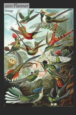 [c2f60] ^R.e.a.d~ ~O.n.l.i.n.e~ 2021 Planner Vintage: Weekly 2021 Calendar Efficiency Organizer Appointment Book, Colorful Birds Cover, Monday to Sunday Schedule View, 6x9, Basic Planner, No Fluff -  ~P.D.F!